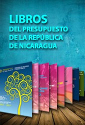 Libros del Presupuesto