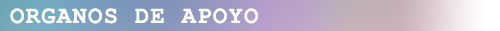 titulo org apoyo